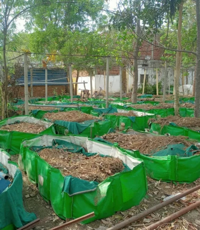 Vermicomposting