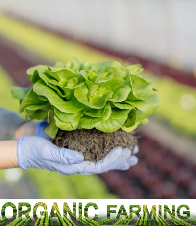 organic Farming