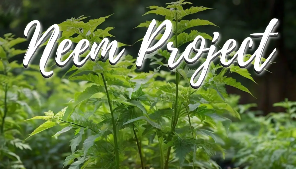 Neem Project